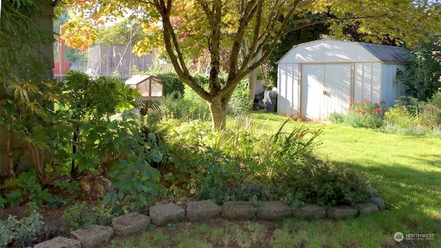 view of yard with a storage shed