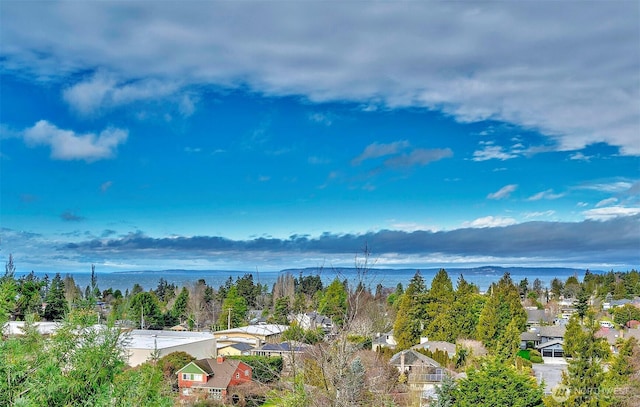 drone / aerial view with a residential view and a mountain view