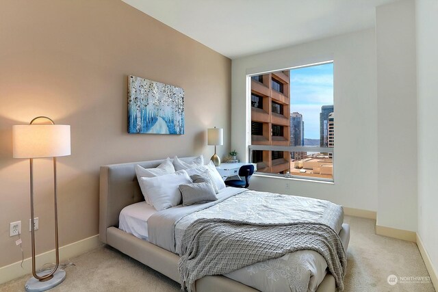 bedroom with carpet floors