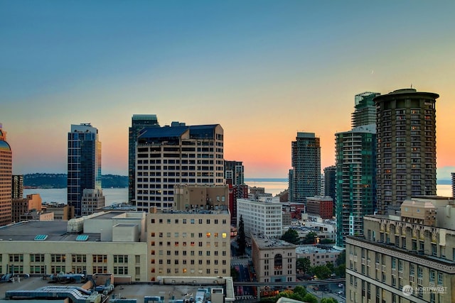 view of city featuring a water view