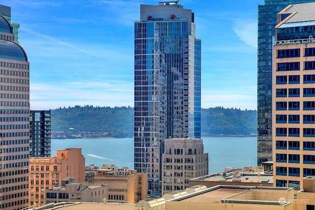 view of city with a water view