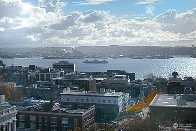 view of city with a water view