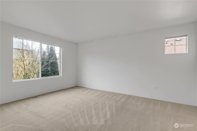 spare room with light colored carpet and a wealth of natural light