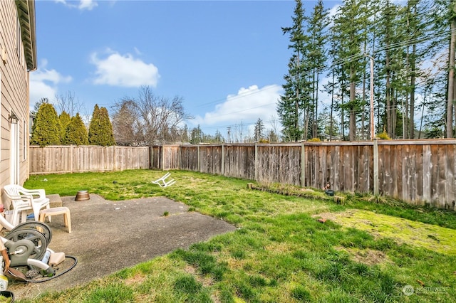 view of yard featuring a patio