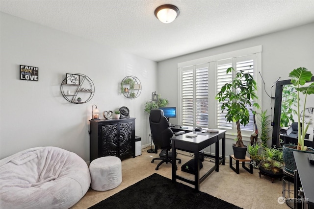 office with light carpet and a textured ceiling