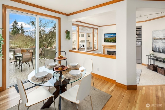 dining room with crown molding, track lighting, and light hardwood / wood-style flooring