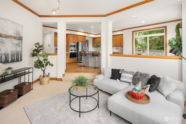 carpeted living room featuring crown molding