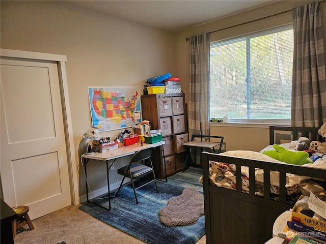 bedroom with carpet floors