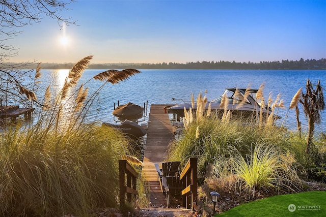 property view of water featuring a boat dock