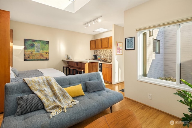 living room featuring a skylight, light hardwood / wood-style floors, and rail lighting