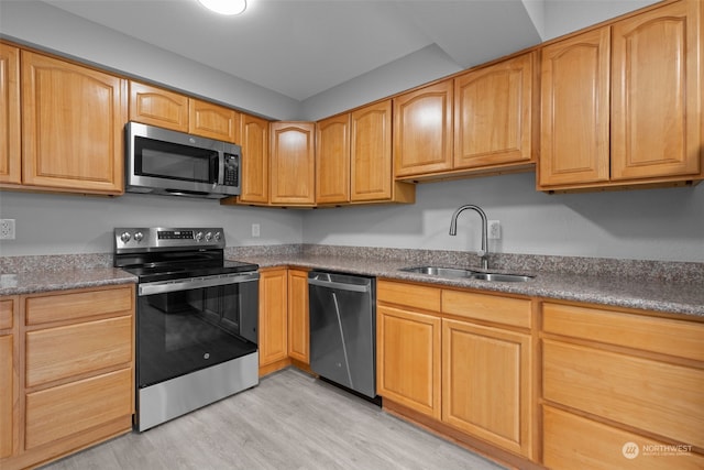 kitchen with sink, light hardwood / wood-style flooring, and stainless steel appliances