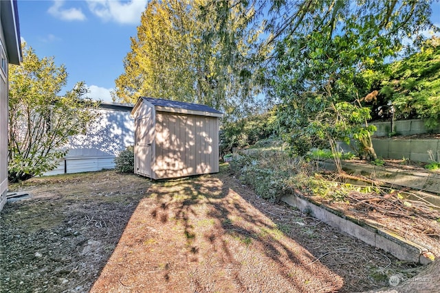 view of yard featuring a shed