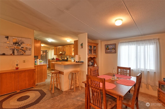 carpeted dining area featuring a textured ceiling