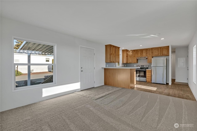 kitchen with appliances with stainless steel finishes, kitchen peninsula, and light carpet