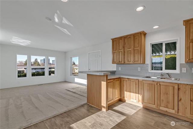 kitchen featuring a healthy amount of sunlight, sink, backsplash, and light hardwood / wood-style flooring