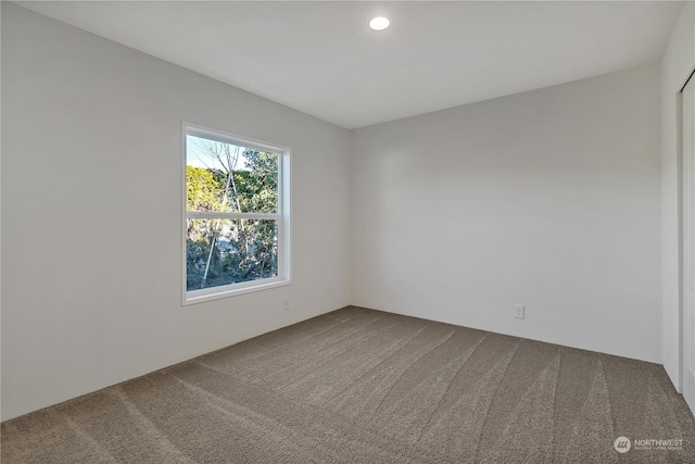 spare room with carpet flooring