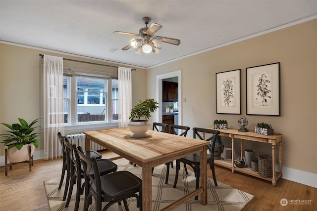 dining area with crown molding, ceiling fan, radiator, and light hardwood / wood-style flooring