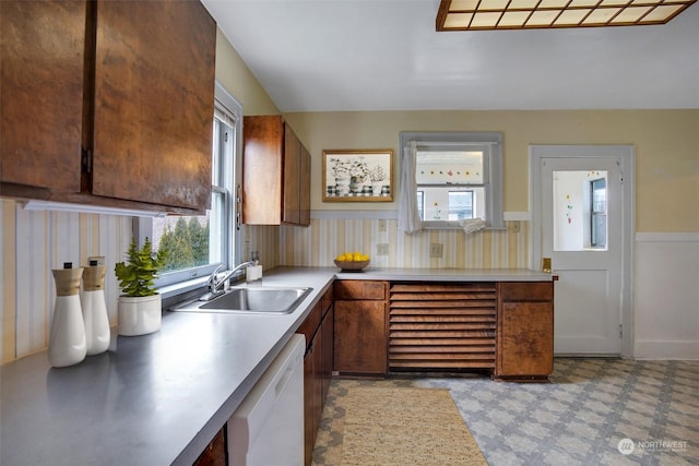 kitchen featuring a healthy amount of sunlight, sink, and white dishwasher