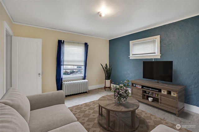 living room with crown molding, radiator heating unit, and carpet