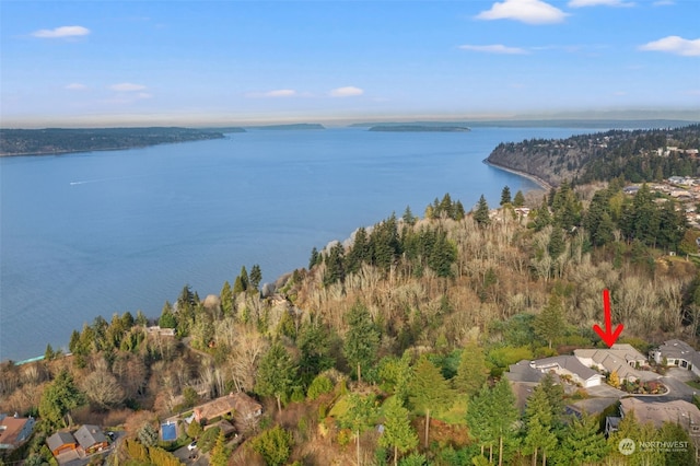 drone / aerial view with a water view