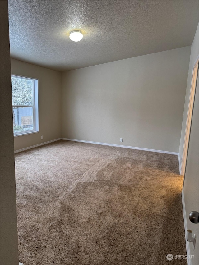 unfurnished room with carpet and a textured ceiling