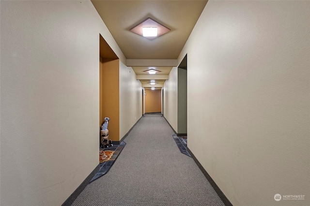 corridor featuring carpet floors