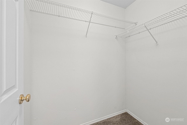 walk in closet featuring carpet flooring