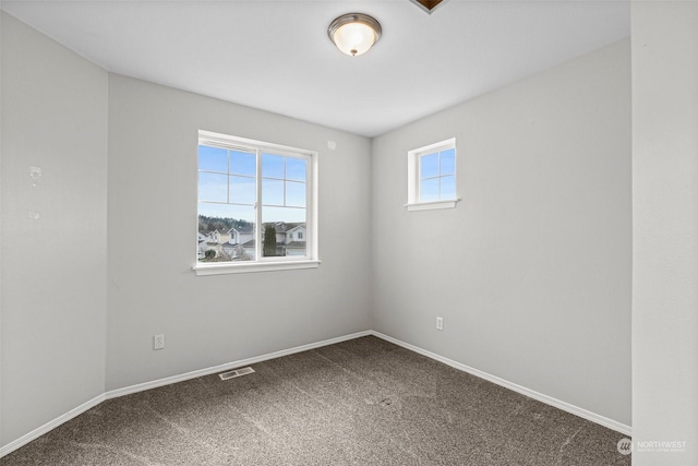 empty room featuring carpet floors and a wealth of natural light