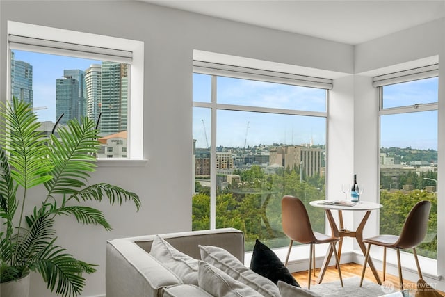 living area featuring wood finished floors and a city view