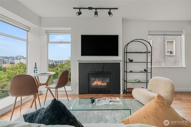 living room with a fireplace, wood finished floors, and baseboards