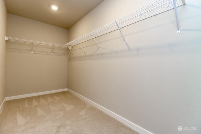 spacious closet with carpet flooring