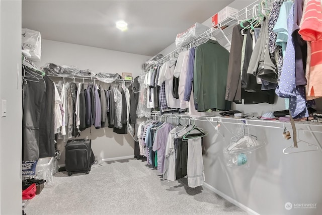 walk in closet featuring carpet