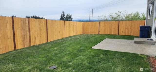 view of yard featuring a patio