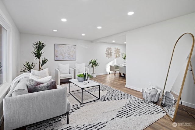 living room featuring wood-type flooring