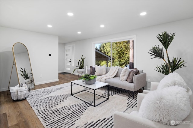 living room featuring hardwood / wood-style flooring