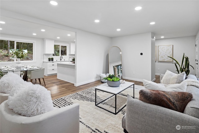 living room with hardwood / wood-style flooring and sink