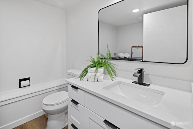 bathroom with vanity, hardwood / wood-style floors, and toilet