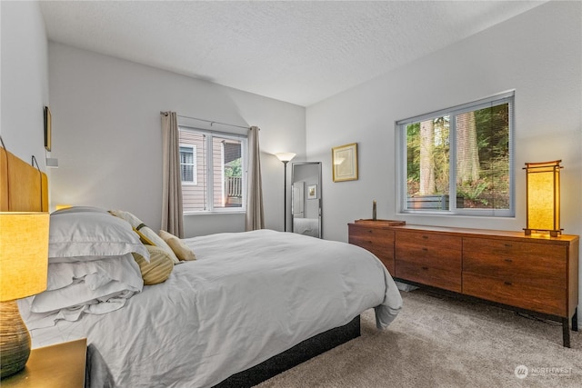 bedroom with carpet and a textured ceiling