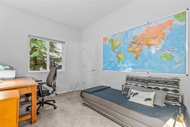 bedroom featuring carpet flooring