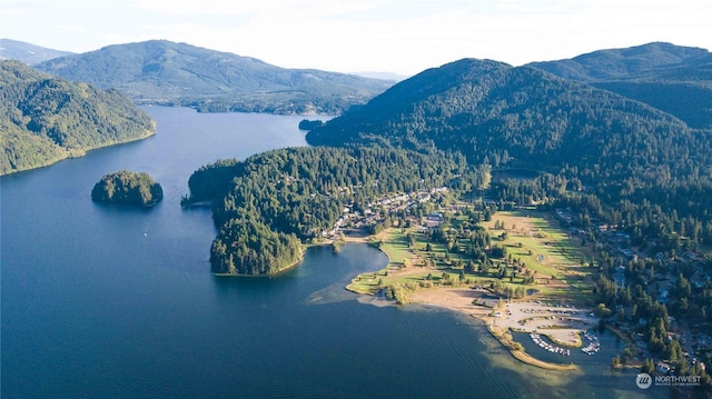 birds eye view of property with a water and mountain view