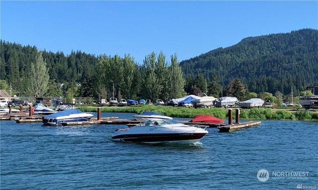 property view of water featuring a mountain view