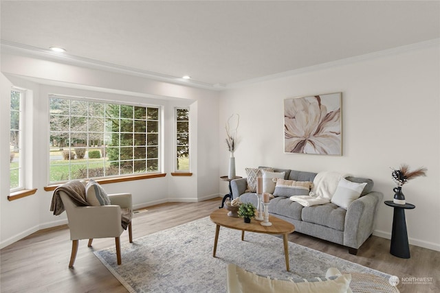 living room with hardwood / wood-style flooring and ornamental molding