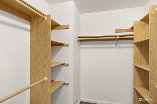 view of walk in closet