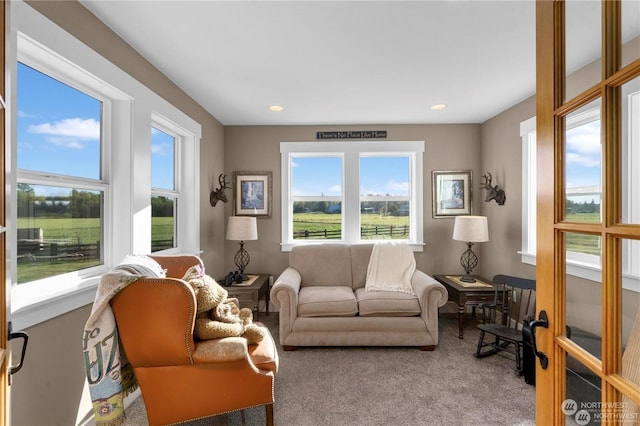 living room with carpet floors