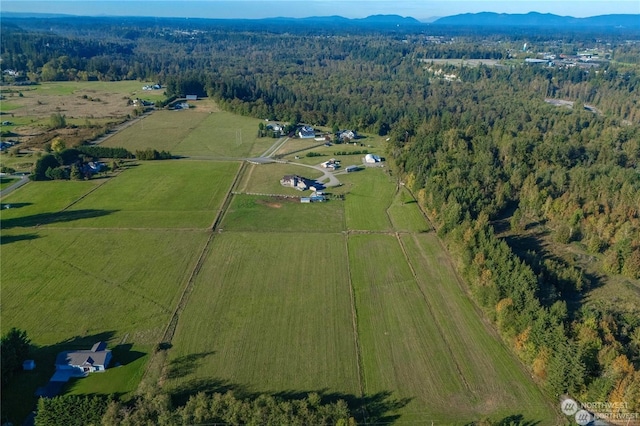 drone / aerial view with a rural view and a mountain view