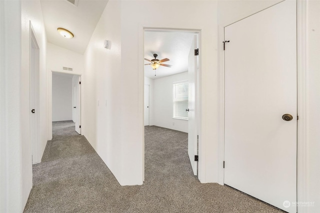 hallway with carpet floors