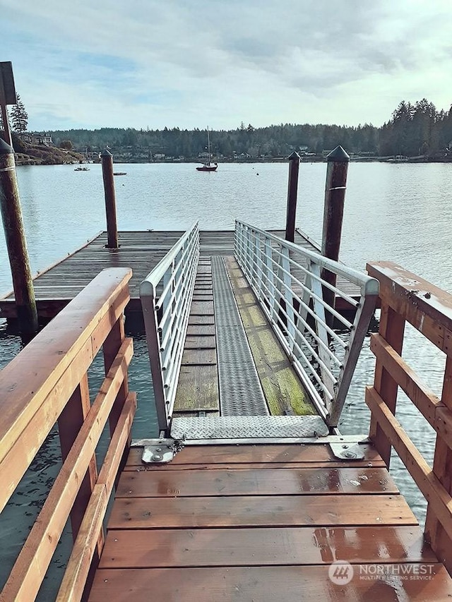 dock area with a water view