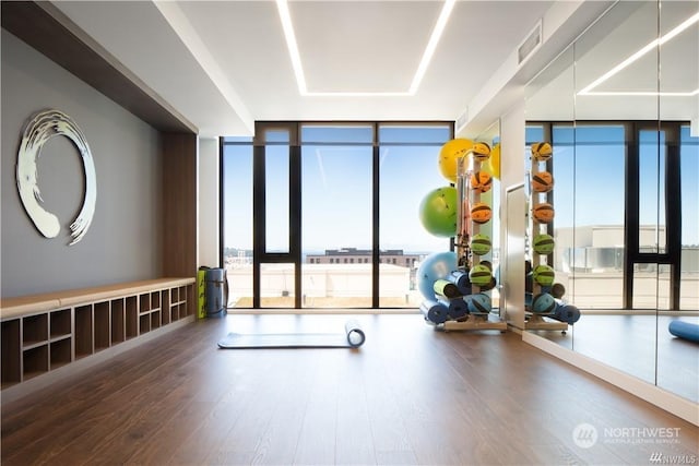 exercise area featuring hardwood / wood-style flooring, a wall of windows, and a tray ceiling