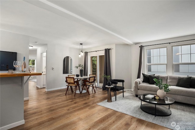 living room with hardwood / wood-style floors