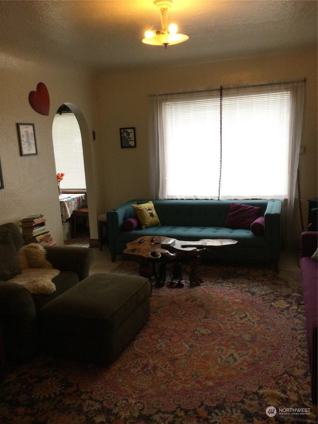 living room featuring carpet floors and a healthy amount of sunlight